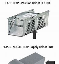 Image result for Water Traps for Mice