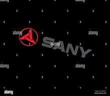 Image result for Sany Oficial Logo Vector