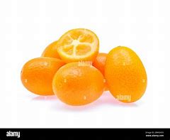 Image result for Kumquat Fruit White Background