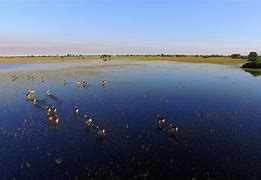 Image result for Okavango Delta Botswana Windows Background