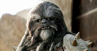 Image result for Wookie Ewok