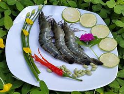 Image result for Hoso Dried Shrimp