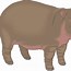 Image result for Hippo Skin Print