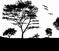 Image result for Silhouette of Nature