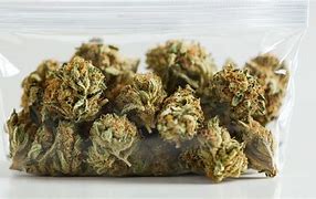 Image result for 7 Grams Weed