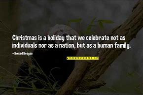 Image result for Non-Religious Christmas Sayings