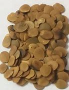 Image result for Achi Seed Igbo