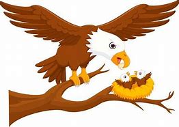 Image result for Baby Eagle Clip Art