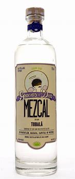 Image result for Mezcal Tobala