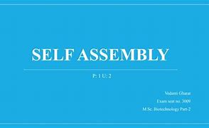 Image result for Self Assembly in Vivo