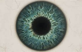 Image result for Texture Eye Art