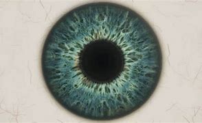 Image result for 16K Eye Texture