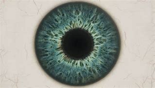 Image result for Eye Texture 4K