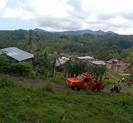 Image result for Lahan Areal Manggarai Barat