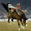 Image result for Real Rodeo Cowboys