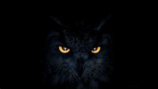 Image result for Owl Eyed Woman