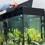 Image result for 300L Fish Tank