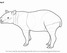 Image result for Tapir Fighting Art