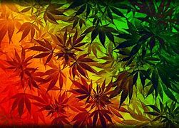 Image result for Weed Background 1920X1080