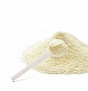 Image result for Milk-Powder India