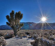 Image result for Mojave Desert National Monument