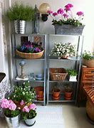 Image result for Urban Gardening Balkon