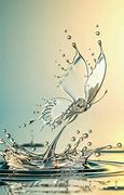 Image result for Water Butterfly Wallpaper