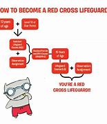 Image result for American Red Cross Lifeguard Logo