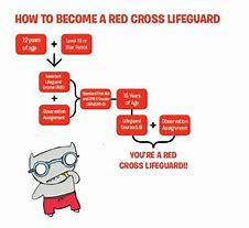 Image result for American Red Cross Lifeguard Logo Vector