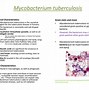 Image result for Mycobacterium GM's Stain