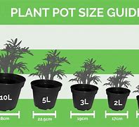 Image result for Pot Scale