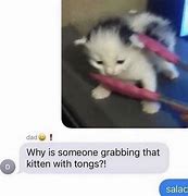 Image result for Cat Tongue Meme