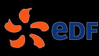 Image result for EDF India Logo