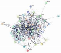 Image result for TSH Signaling Pathway