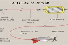 Image result for Salmon Rigging