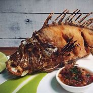 Image result for Lionfish Cooked