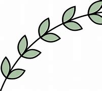 Image result for Miraa Leaves Clip Art