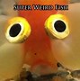 Image result for Oddity Fish