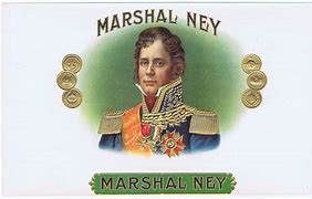 Image result for Marshal Ney Portrait