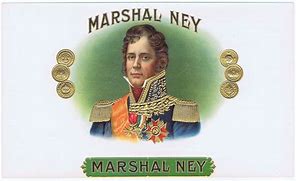 Image result for Marshal Ney in America