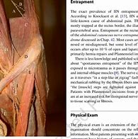 Image result for Ilioinguinal Nerve Pain Syndrome