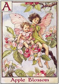 Image result for DMC Flower Fairies