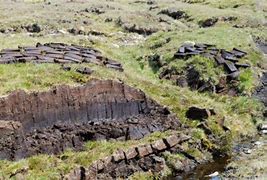 Image result for Carbon in Peat Bog