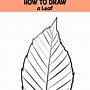 Image result for Christmas Leaf Drawing