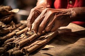 Image result for Cuban Cigar Rolling