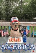 Image result for African American 4th of July GIF