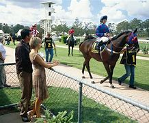 Image result for Ipswich Racecourse