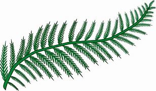 Image result for Fern in Pot Clip Art