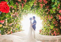 Image result for Beautiful Wedding Background