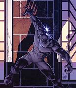 Image result for Black Panther vs Superman